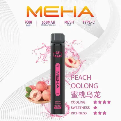 MEHA XBAR 魅嗨小黑條7000口拋棄式電子煙｜3%尼古丁鹽 650mAh電池 Mesh霧化技術 台灣現貨
