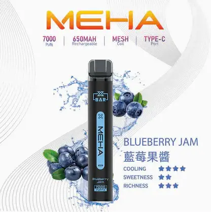 MEHA XBAR 魅嗨小黑條7000口拋棄式電子煙｜3%尼古丁鹽 650mAh電池 Mesh霧化技術 台灣現貨