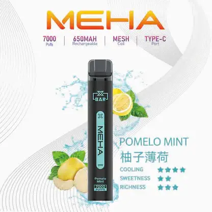 MEHA XBAR 魅嗨小黑條7000口拋棄式電子煙｜3%尼古丁鹽 650mAh電池 Mesh霧化技術 台灣現貨